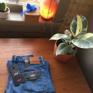 Levi’s 501 Skinny Jeans (New)